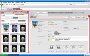 Screenshot of the use of easydb - museum for object management, collection management in the Roman Germanic Central museum for