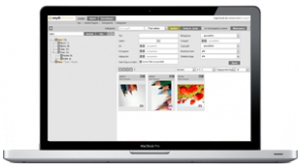 easydb Bildsuche DAM-System