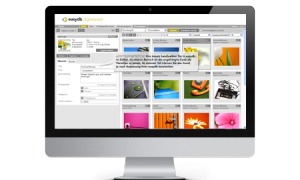 easydb - Digital Asset Management System