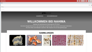 Screenshot des NAHIMA-Projektes der ETH-Zürich