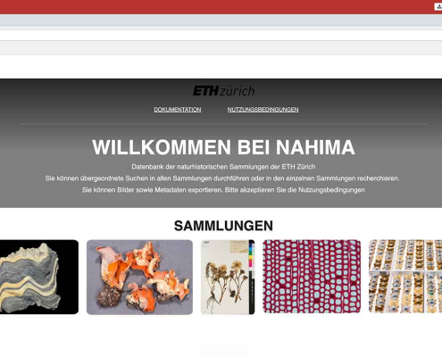 Skærmbillede af NAHIMA-projektet på ETH Zürich