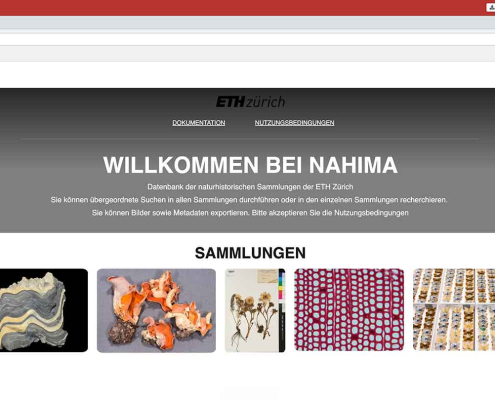 Screenshot of the NAHIMA project at ETH Zurich