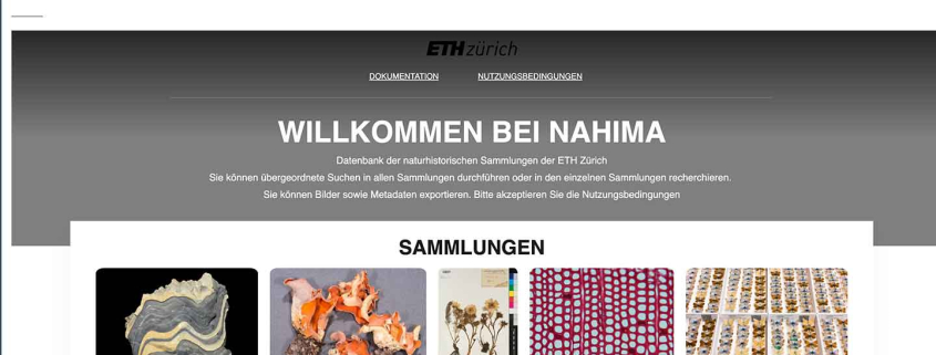 Screenshot of the NAHIMA project at ETH Zurich